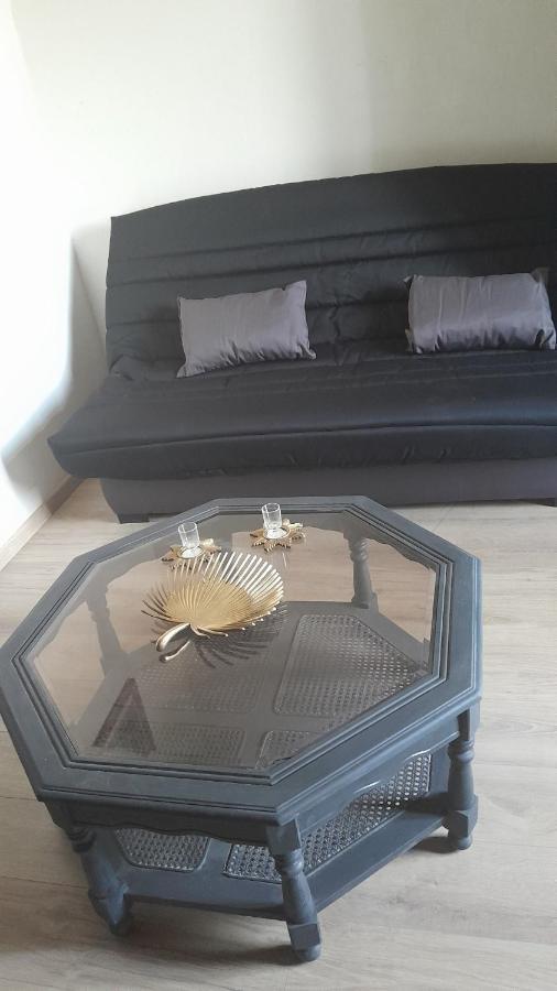 Appartement Authentique Au Bord Du Fleuve Herault Agde Dış mekan fotoğraf